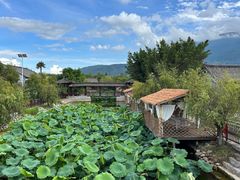 -大理洱源西湖景区