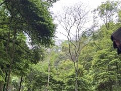 -江西阳明山国家森林公园