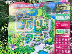 -广州长隆飞鸟乐园