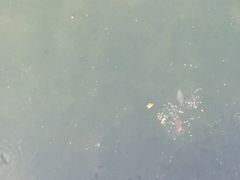 -人民公园-相亲角