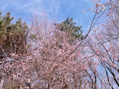 -长春市南湖公园