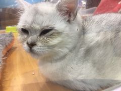 -龟与熊猫宠物公园(南坪店)