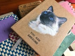 -喵店&猫咖