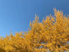 -辽宁大学(崇山校区)