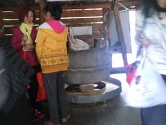 -九寨沟-树正沟