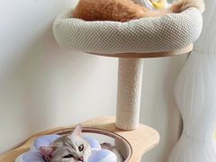 -东莞宠友24H宠物中心医院·转诊夜诊·异宠(新河北路院)