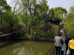 -南汇桃花村