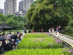 -龙头寺公园