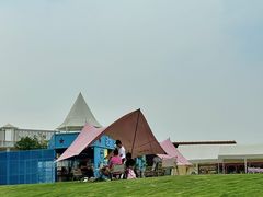 -空港花田景区