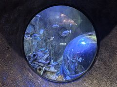 -成都浩海立方海洋公园