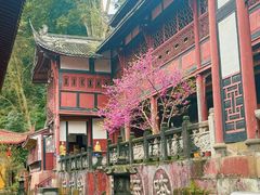 -都江堰普照寺