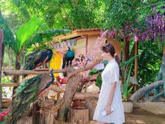 -西双版纳勐泐文化旅游区