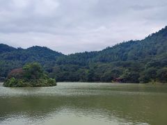 -广州白江湖森林公园