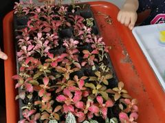 -A+匠心DIY手工坊·首饰·微景观