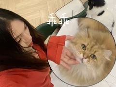 -安格丽娜·狗咖·猫咖羊驼咖(春熙路百盛商场店)