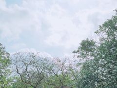 -海口火山口国家地质公园