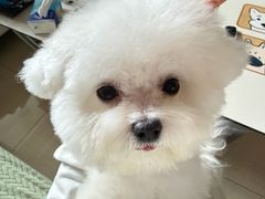 -帕帕拉兹宠物(亚洲旗舰店)