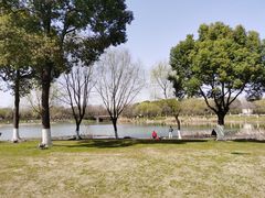-九里河湿地公园