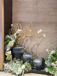 -恒美雅轩·品牌直营连锁