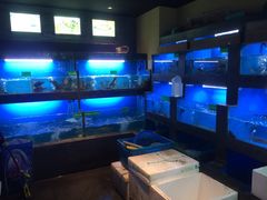 -陈先进鱼馆·夜宵·地道农家菜(湖墅南路店)