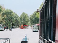 -上海海湾国家森林公园