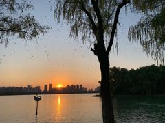 -天鹅湖体育公园
