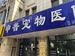 -申普宠物医院·眼科·心内科·影像科(普陀分院)