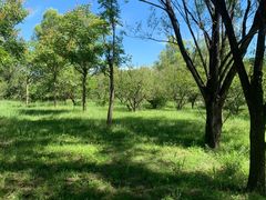-野鸭湖国家湿地公园