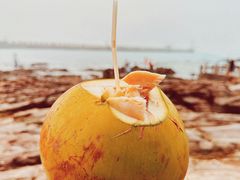 -冠头岭