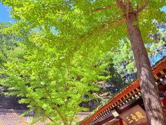 -少华山国家森林公园