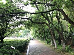 -宝岩生态观光园