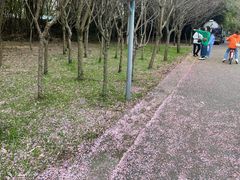 -贵阳市花溪国家城市湿地公园