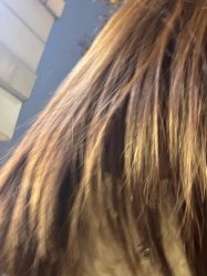 -赤道 Hair Salon