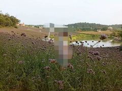 -大塘金香草谷