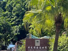 -亚龙湾海底世界