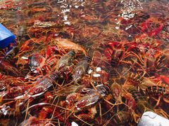 -三旗百汇商品城