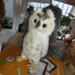 -IMON·HANSA潮玩玩偶毛绒玩具(通州万象汇店)