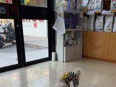 -宠福鑫动物医院(望京分院)