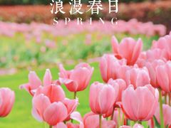 -静安雕塑公园