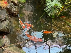 -聚缘堂·海鲜私房菜(松岭路店)