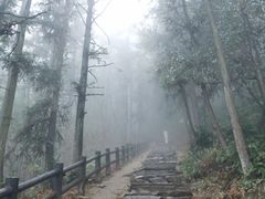 -冶父山国家森林公园