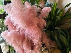 -春暖花开(西溪店)