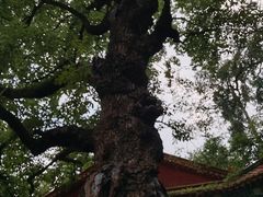 -昆明市金殿名胜区