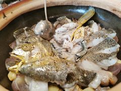 -人间采蜜(海信广场店)