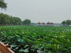 -长春市南湖公园