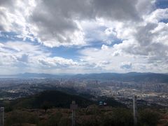 -长虫山生态公园风景林