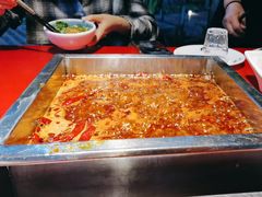 -二荆条·蜀鲜汇城市森林火锅