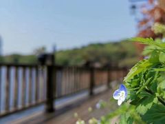 -东湖食堂·湖景餐厅•会议