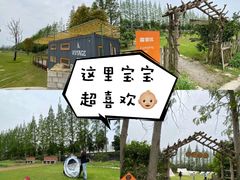 -前小桔亲子创意农场·草莓采摘·露营烧烤