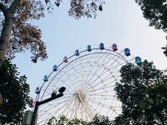 -塔子山公园